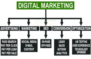 Online digital marketing categories