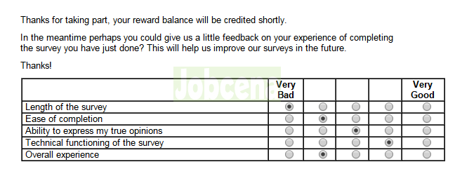 Valued Opinions Survey experience